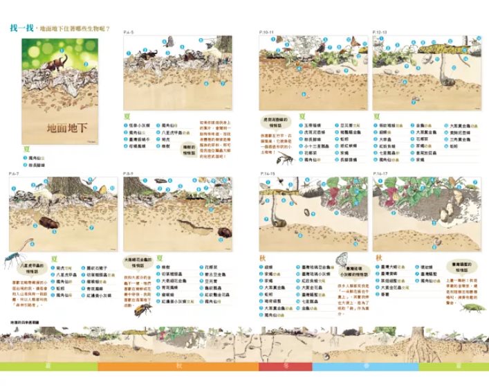 地面地下：四季昆蟲微觀圖記